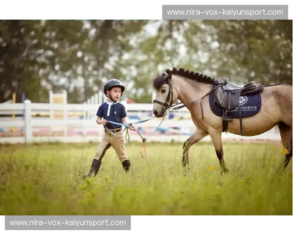 马术之美：与马同行，驭见更好的自己